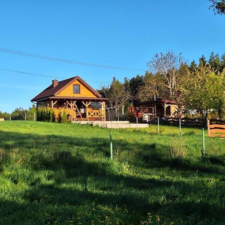 Domek Nad Stawem Bory Tucholskie Swiekatowo المظهر الخارجي الصورة