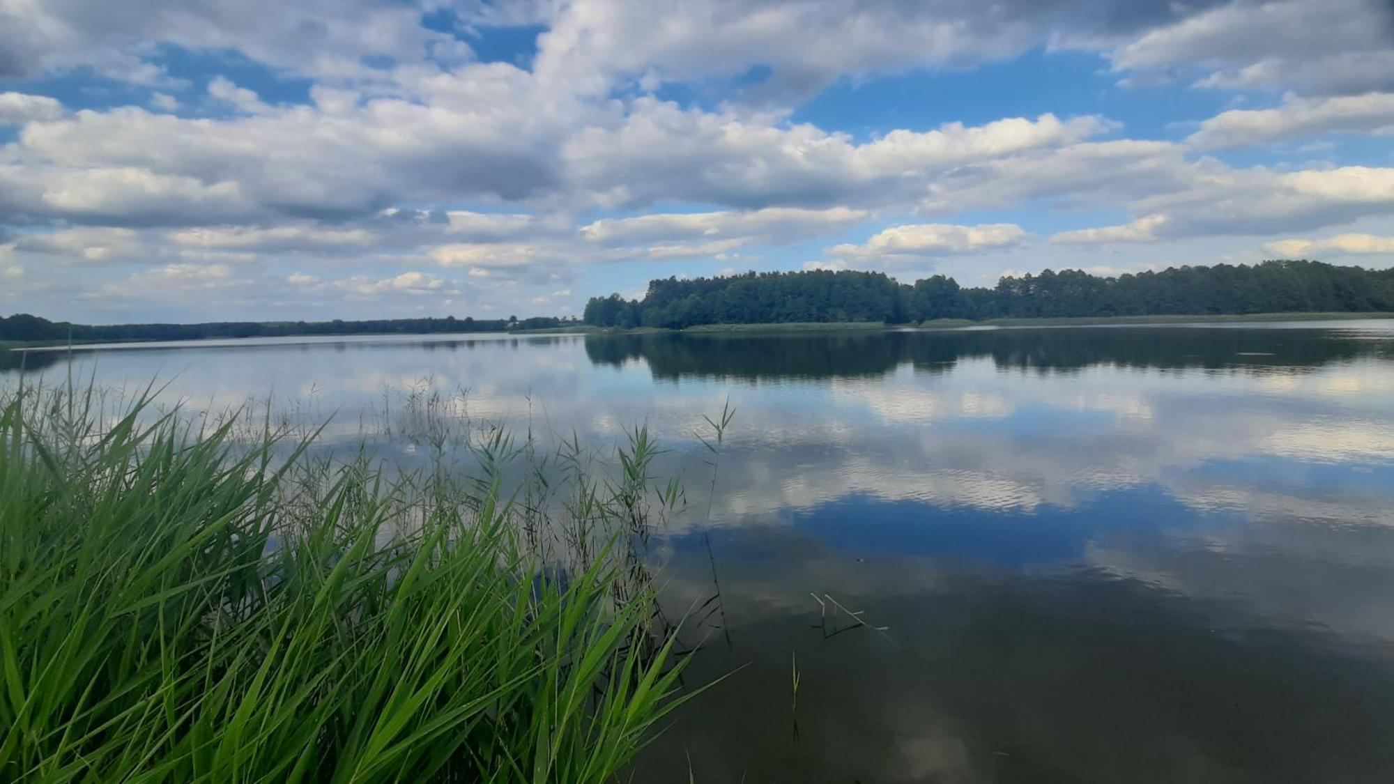 Domek Nad Stawem Bory Tucholskie Swiekatowo المظهر الخارجي الصورة